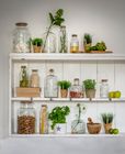 Glass Storage Jars